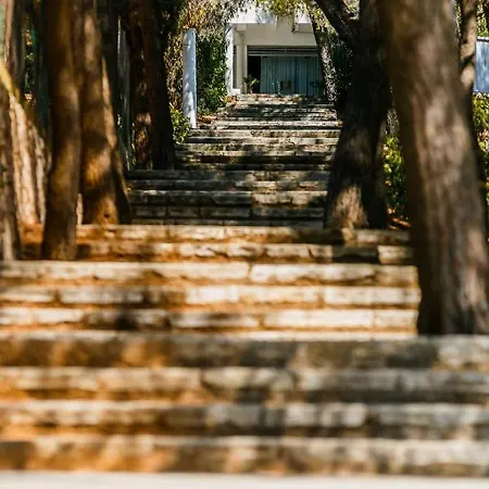 Medena Budget ホテル